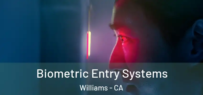  Biometric Entry Systems Williams - CA