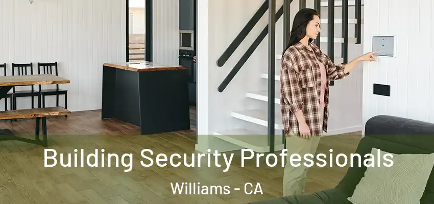  Building Security Professionals Williams - CA