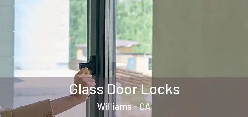  Glass Door Locks Williams - CA