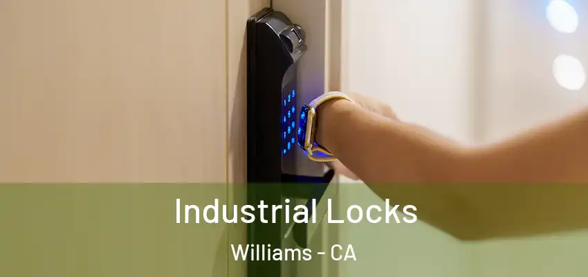  Industrial Locks Williams - CA