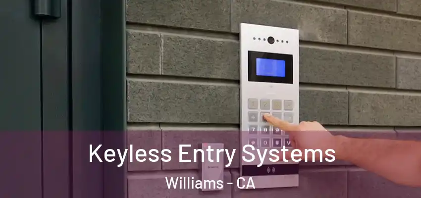  Keyless Entry Systems Williams - CA
