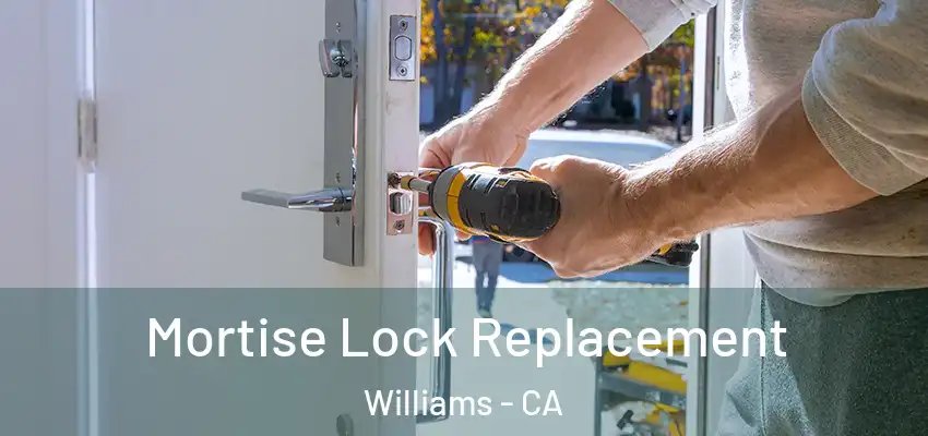  Mortise Lock Replacement Williams - CA