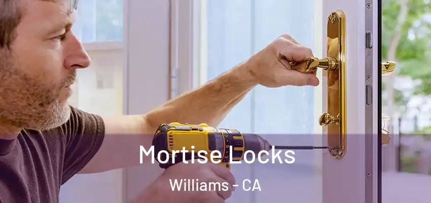  Mortise Locks Williams - CA